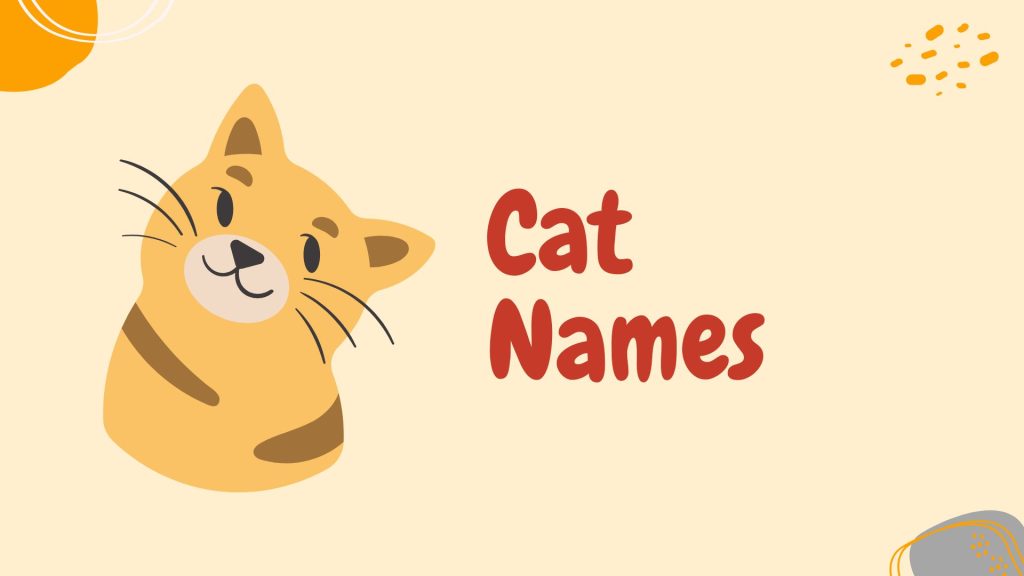 Chinese Cat Names