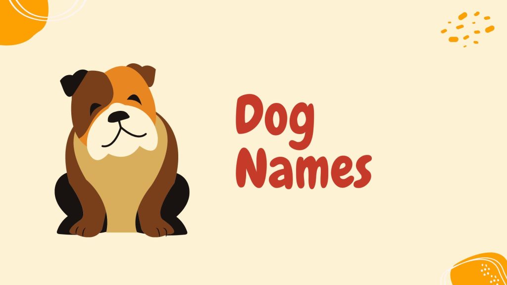 Chinese Dog Names