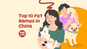 Top 10 Pet Names in China