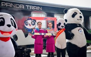 "Panda Trains" Increase in Popularity for Travellers in China