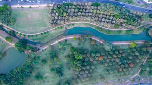 Weihai Native Turns Old Quarry Into Ecological Park