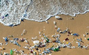 Scientist Team's Findings Aid Fight Against Plastic Pollution