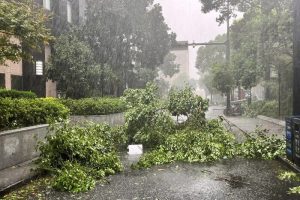 Shanghai Undergoes Cleanup After Strongest Storm Since 1949