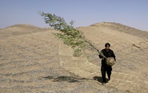 Tourism Boom Sees New Professions Emerge in China's Desert Regions