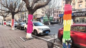 Trees Dressed in Sweaters on Changchun Street