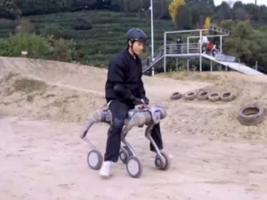 New Robot to Carry Adults Through Rough Terrain Unveiled