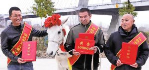 Three Men and a Horse Honoured for River Rescue