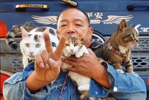 Chinese Trucker Makes Home in Vehicle for Stray Cats