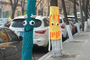 Tree Sweaters Spread Nationwide in China